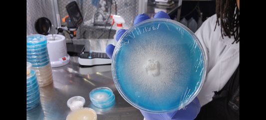 3-Piece Culture Pack