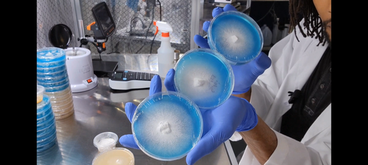 3-Piece Culture Booster Pack