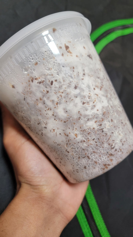 32oz Kinshi Vessel (6 pack)